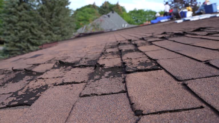 Best Storm Damage Roof Repair  in Young Harris, GA